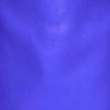  Selena Perzisch blauw